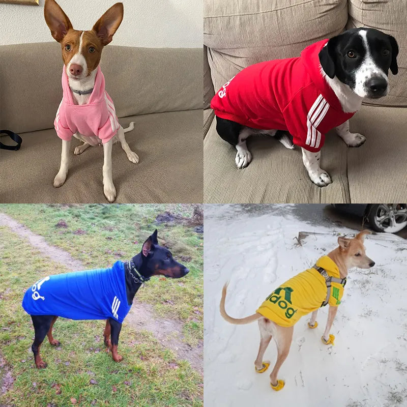 Winter Pet Dog Clothes