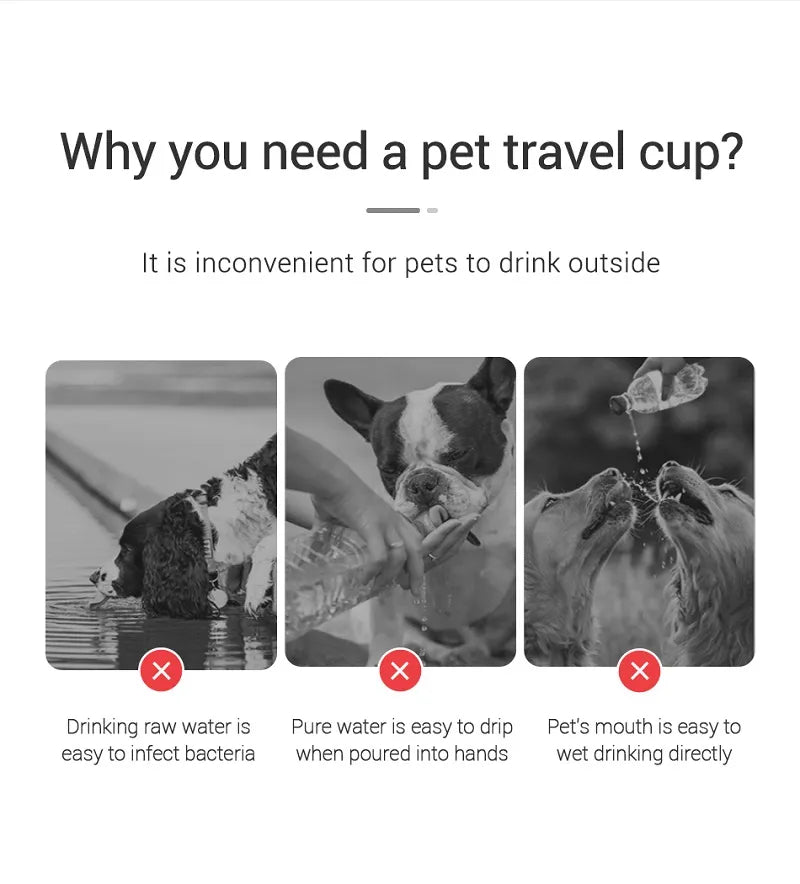 Portable Dog Water Bottle for Outdoor Leakproof
