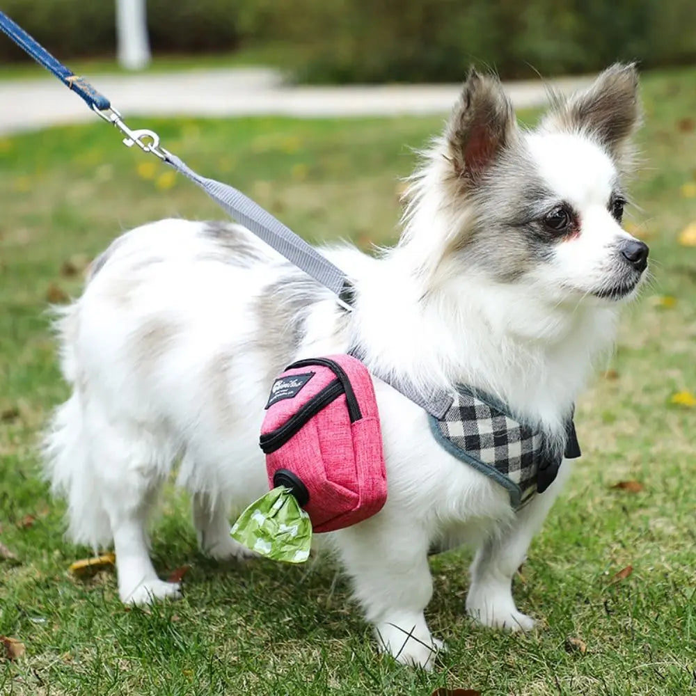 Portable Dog Training Treat Bag, Waist Bag, Dog Poop Bag