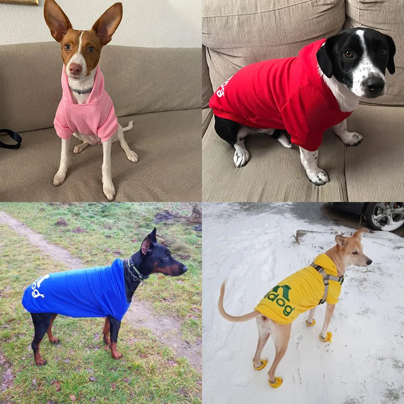 Winter Pet Dog Clothes