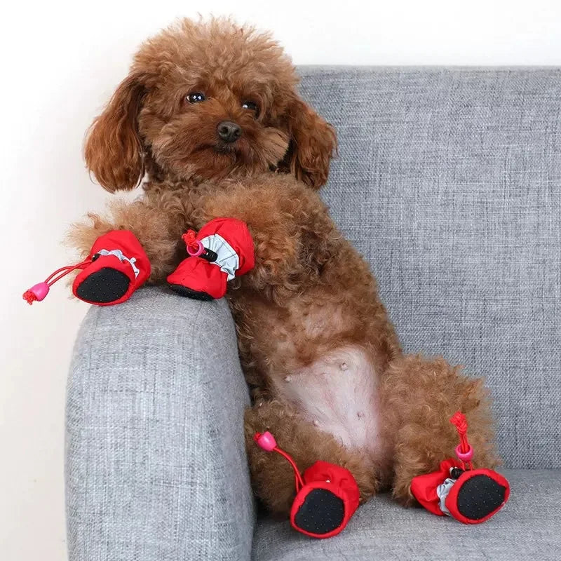 Pet Booties Waterproof Pet Shoes For Small Cats Dogs Puppy Dog